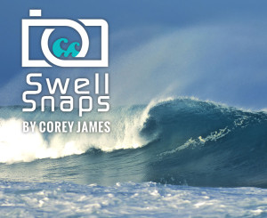 Swell Snaps